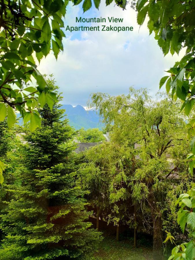 Mountain View Zakopane