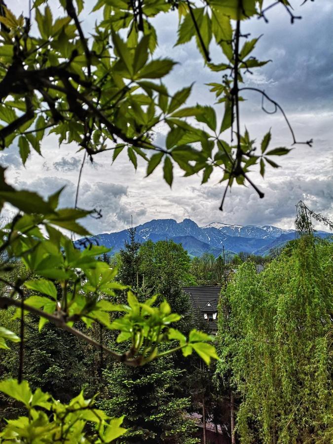 Mountain View *